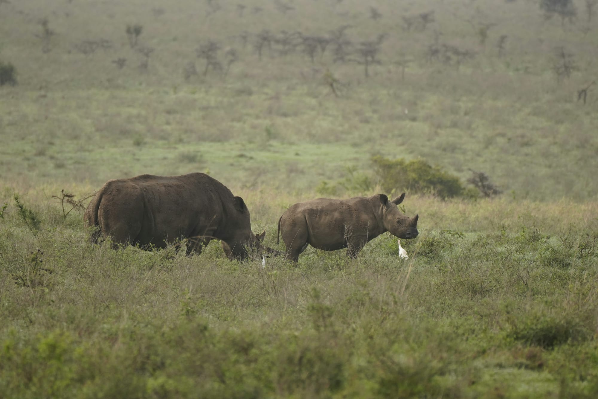 The One Where BroBots Won 3.5K$